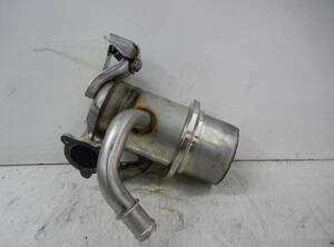 EGR Valve VW GOLF VII (5G1, BQ1, BE1, BE2)