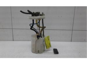 Fuel Pump FIAT DOBLO Cargo (263_), FIAT DOBLO MPV (263_), FIAT DOBLO Platform/Chassis (263_)