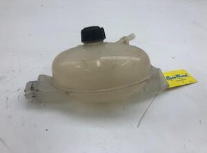 Coolant Expansion Tank RENAULT MASTER III Van (FV)