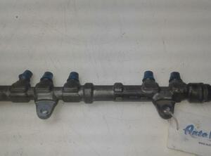 Petrol Fuel Rail FIAT DOBLO Cargo (263_), FIAT DOBLO Platform/Chassis (263_), FIAT DOBLO MPV (263_)