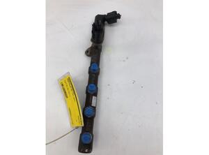 Petrol Fuel Rail FORD Focus IV Turnier (--), FORD Focus IV Turnier (HP)