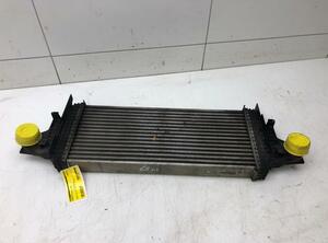 Intercooler MERCEDES-BENZ R-Klasse (V251, W251), MERCEDES-BENZ M-Klasse (W164)