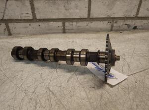 Camshaft SEAT LEON (1M1)