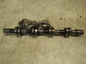 Camshaft VW TOURAN (1T1, 1T2), VW TOURAN (1T3), VW TOURAN VAN (1T1, 1T2)