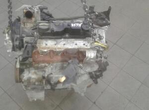 Motor kaal FORD FIESTA VI Van, FORD FIESTA VI (CB1, CCN)