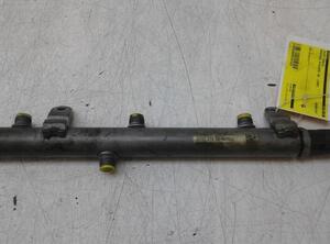 Halter für Einspritzventil Mercedes-Benz R-Klasse W251 6420700695 P12816304