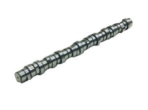 Camshaft for Volvo FH 13 Volvo 21110437 7421110437 22431881