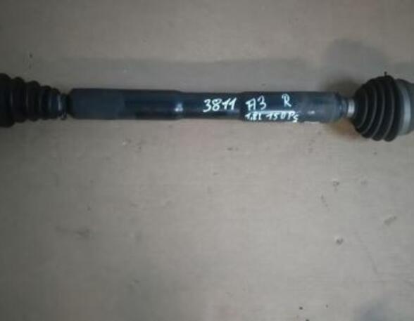 Drive Shaft AUDI A3 (8L1)