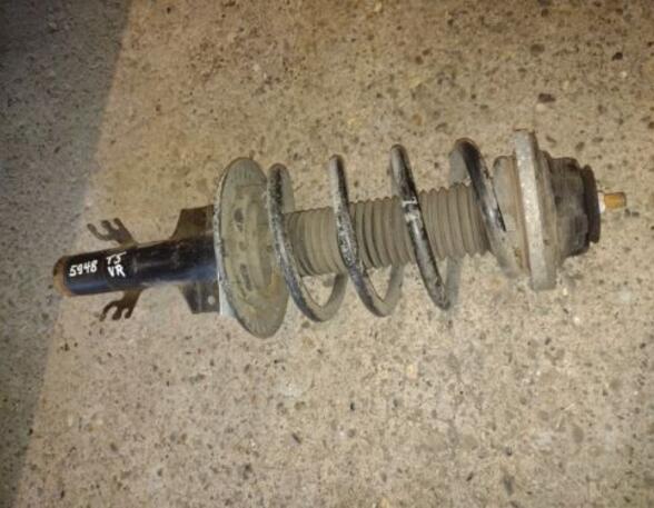 Suspension Strut VW TRANSPORTER V Van (7HA, 7HH, 7EA, 7EH)