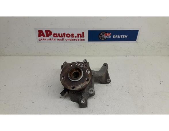 Stub Axle AUDI TT (8J3)