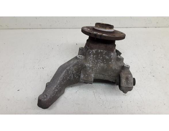 Stub Axle AUDI TT (8J3)