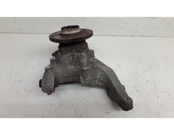 Stub Axle AUDI TT (8J3)