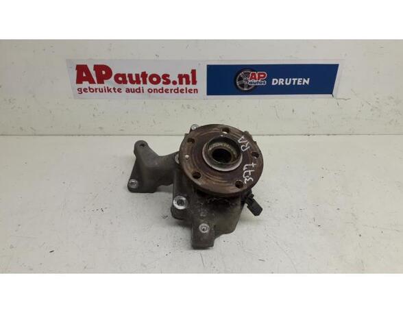 Stub Axle AUDI TT (8J3)