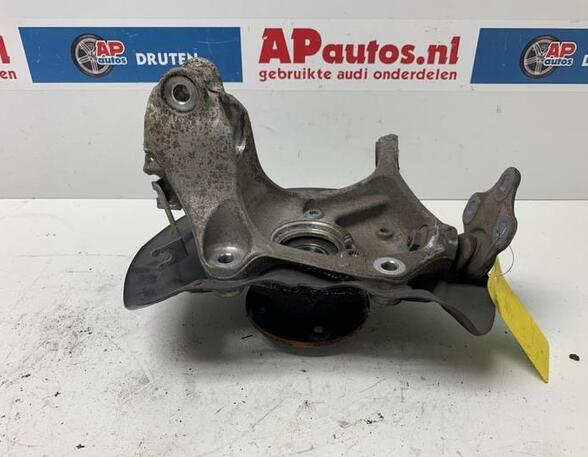 Stub Axle AUDI TT Roadster (FV9, FVR)