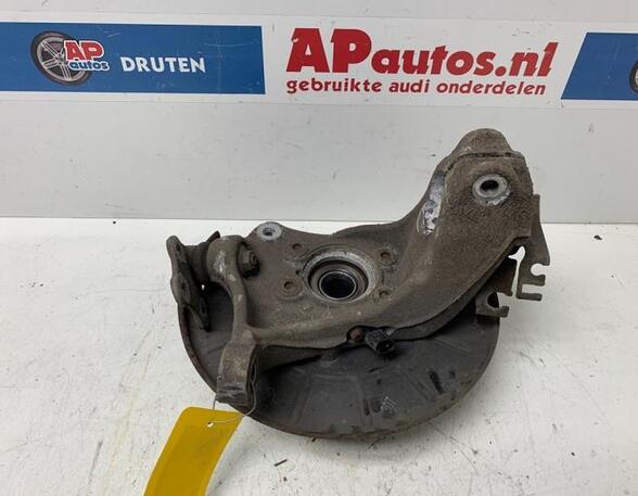 Stub Axle AUDI TT (8J3)