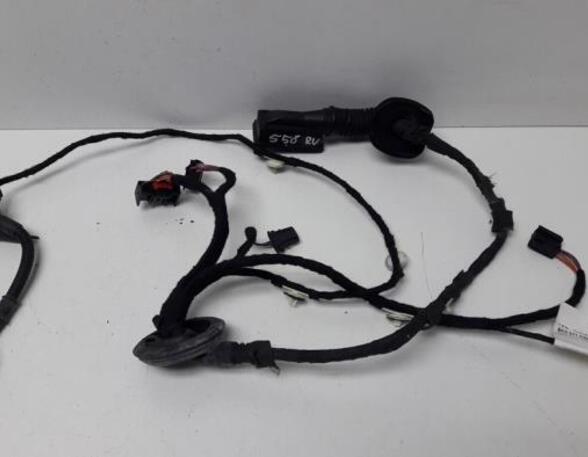 Wiring Harness AUDI A4 Avant (8K5, B8), AUDI A5 Sportback (8TA)