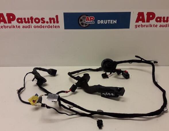 Wiring Harness AUDI A5 (8T3)