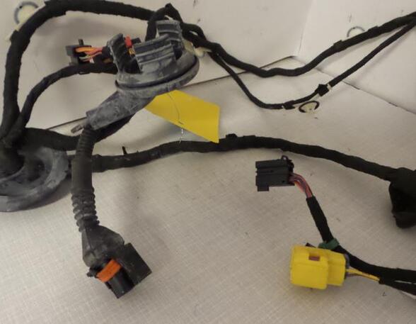 Wiring Harness AUDI A5 (8T3)