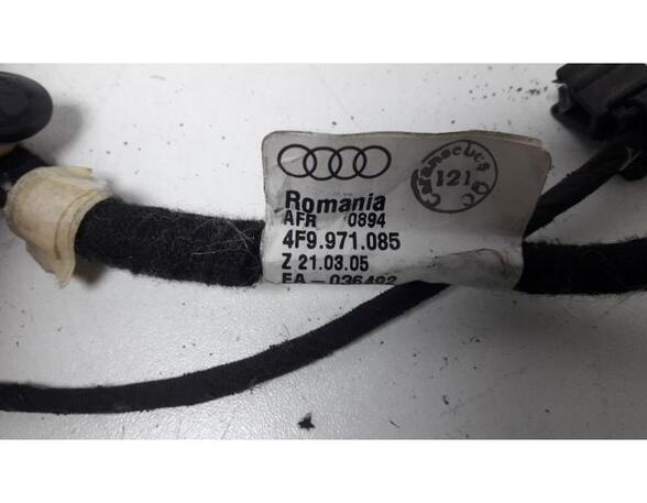 Kabelbaum Audi A6 Avant 4F, C6 4F9971085 P14091960