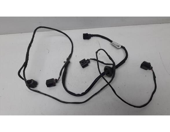 Wiring Harness AUDI A4 (8EC, B7)