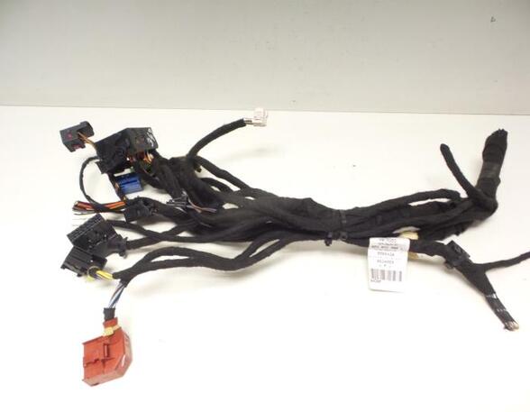 Wiring Harness AUDI A3 (8P1), AUDI A3 Sportback (8PA)