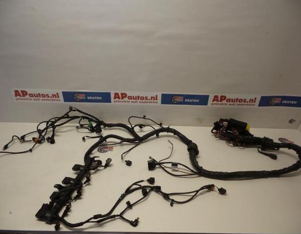 Wiring Harness AUDI A5 (8T3)