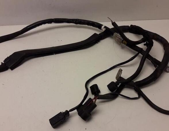 Wiring Harness AUDI A5 (8T3)