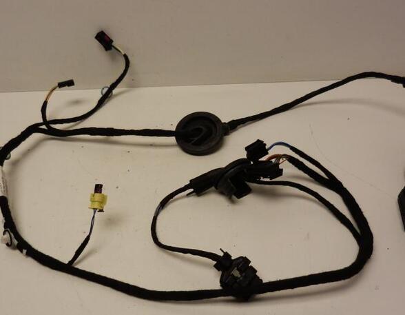 Wiring Harness AUDI A1 (8X1, 8XK), AUDI A1 Sportback (8XA, 8XF)