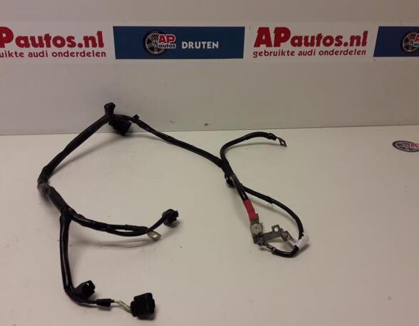 Wiring Harness AUDI A1 (8X1, 8XK), AUDI A1 Sportback (8XA, 8XF)