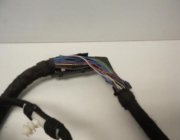 Wiring Harness AUDI Q7 (4LB), AUDI Q7 Van (4LB)