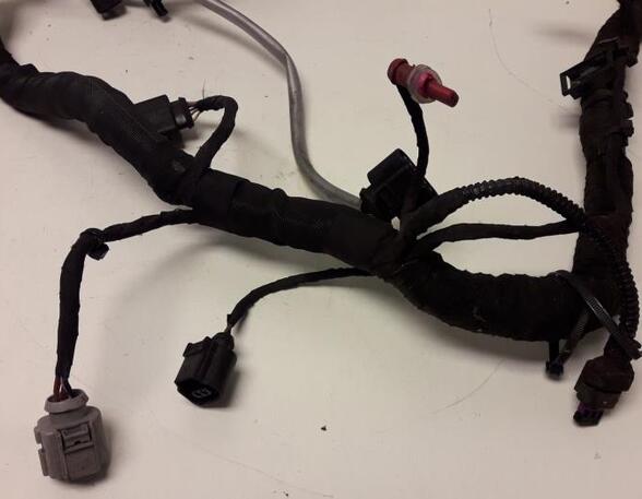 Wiring Harness AUDI A3 Sportback (8VA, 8VF)