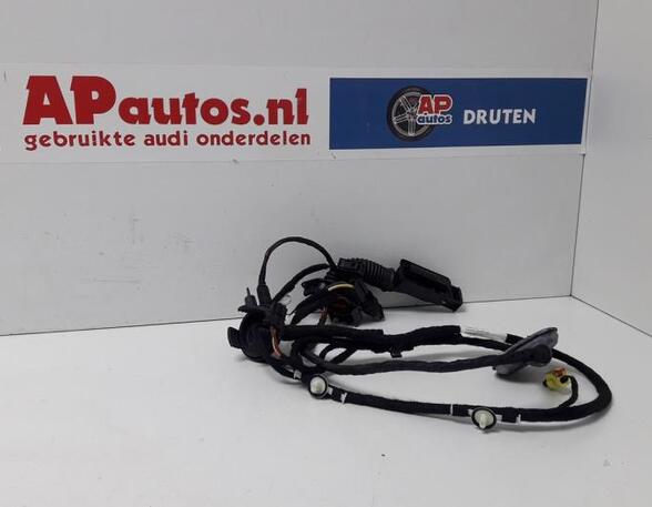 Wiring Harness AUDI A1 (8X1, 8XK), AUDI A1 Sportback (8XA, 8XF)