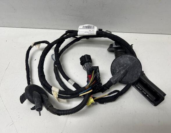 Wiring Harness AUDI A1 (8X1, 8XK), AUDI A1 Sportback (8XA, 8XF)