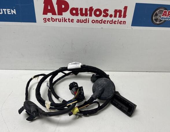 Wiring Harness AUDI A1 (8X1, 8XK), AUDI A1 Sportback (8XA, 8XF)