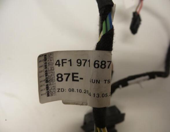 Kabel Audi A6 4F, C6 4F1971687E P6272774