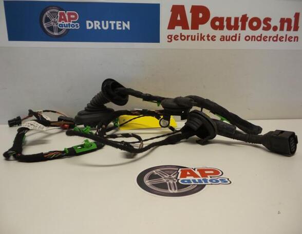 Wiring Harness AUDI A6 Avant (4F5, C6)