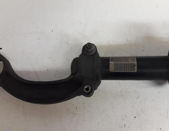 Suspension Strut AUDI A5 (8T3)