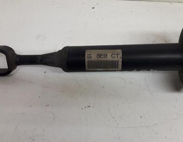 Suspension Strut AUDI A4 (8E2, B6), AUDI A4 (8EC, B7)