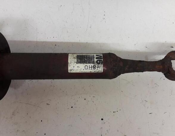 Suspension Strut AUDI A4 B7 Convertible (8HE)