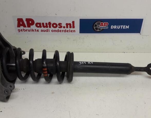 Suspension Strut AUDI A6 (4F2, C6)