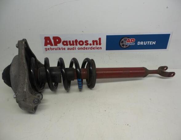 Suspension Strut AUDI A6 Avant (4F5, C6)