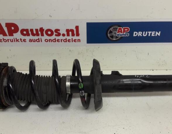 Suspension Strut AUDI A3 (8P1), AUDI A3 Sportback (8PA)