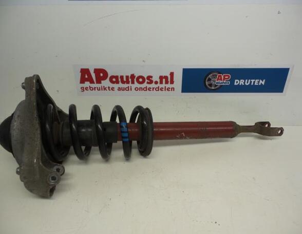 Suspension Strut AUDI A6 Avant (4F5, C6)