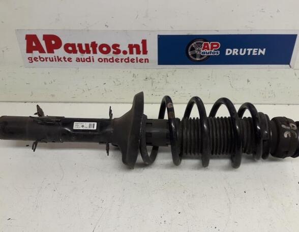 Suspension Strut AUDI TT (8N3)