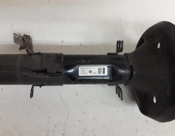 Suspension Strut AUDI TT (8N3)