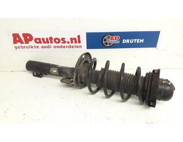 Suspension Strut AUDI A2 (8Z0)