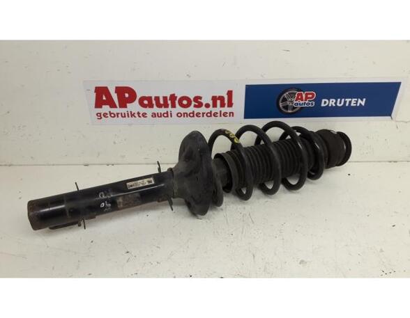 Suspension Strut AUDI A2 (8Z0)