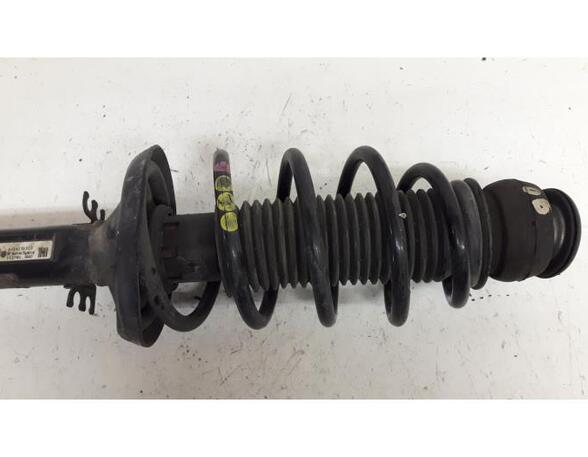 Suspension Strut AUDI A2 (8Z0)