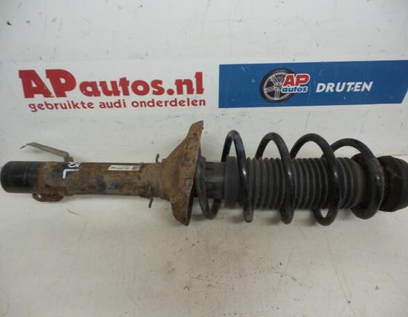 Suspension Strut AUDI A3 (8L1)