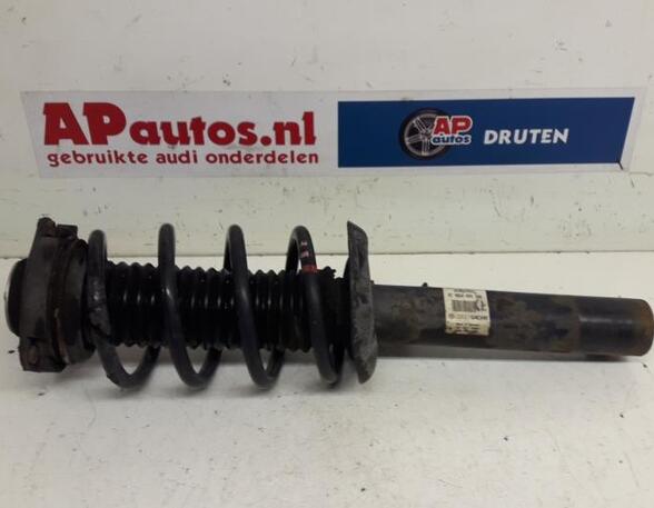 Suspension Strut AUDI A3 (8P1), AUDI A3 Sportback (8PA)